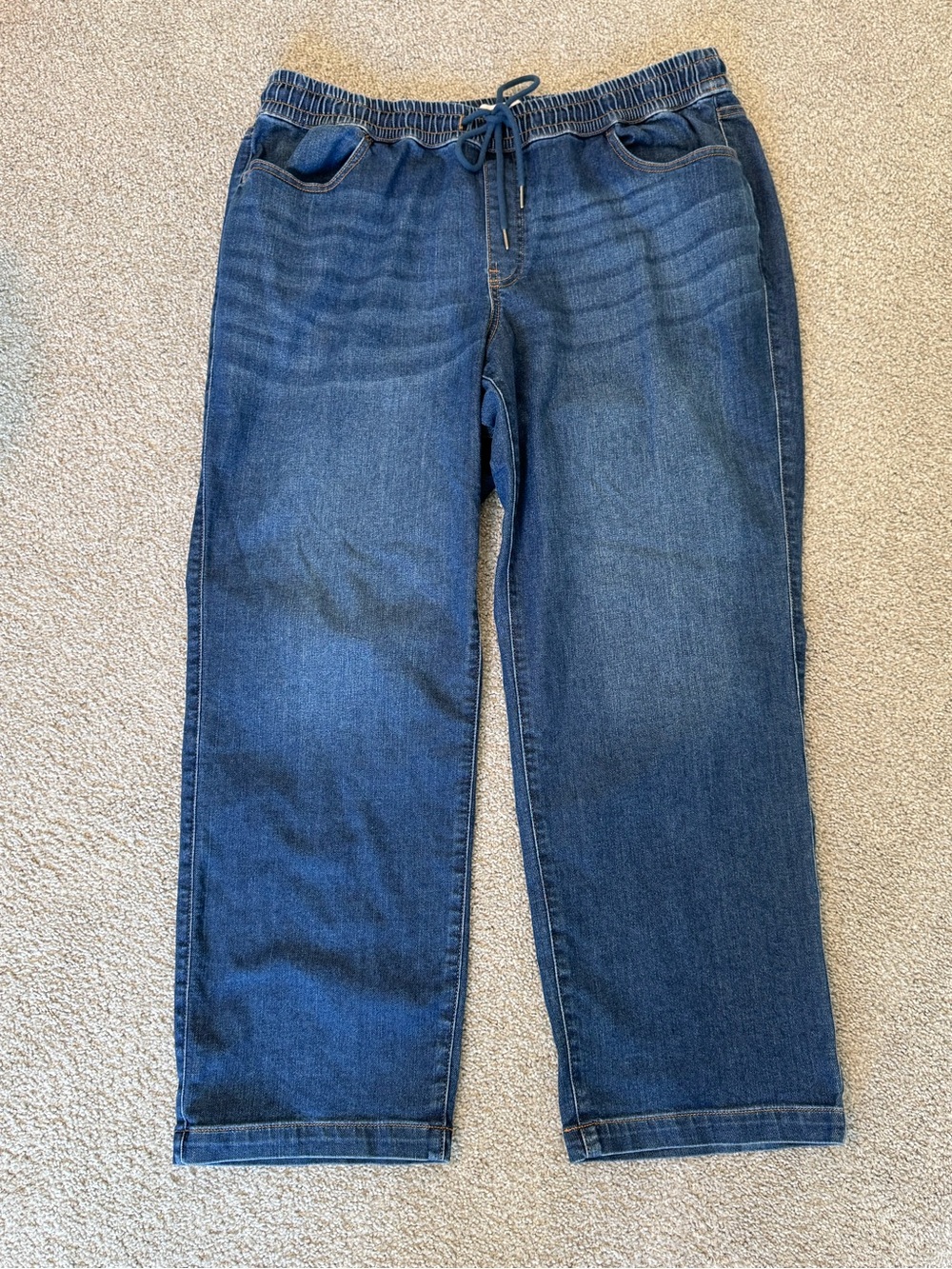 Lane Bryant Women’s Elastic Waist Blue Jeans Casual Pull-On Style Drawstring 18